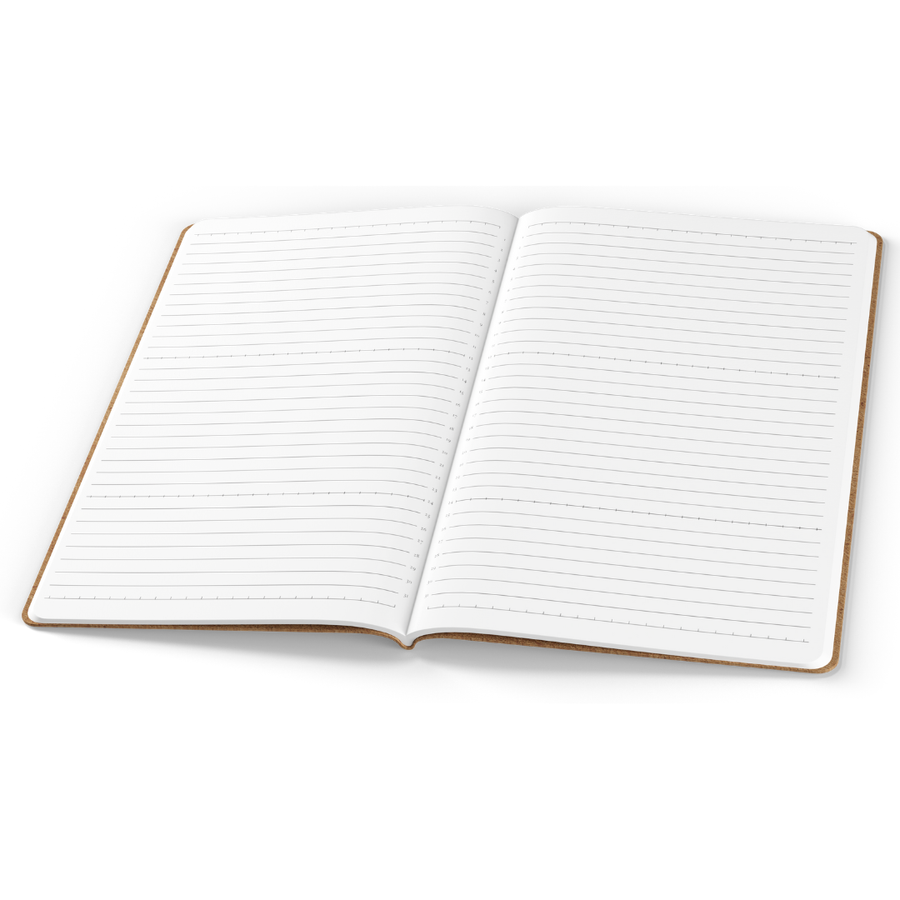 Tomoe River Notebooks A5